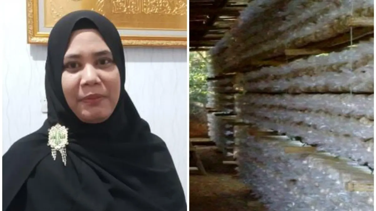 Featured image: Dosen Universitas Malahayati Mendorong Pengolahan Jamur Tiram sebagai Penggerak UMKM di Bandar Lampung