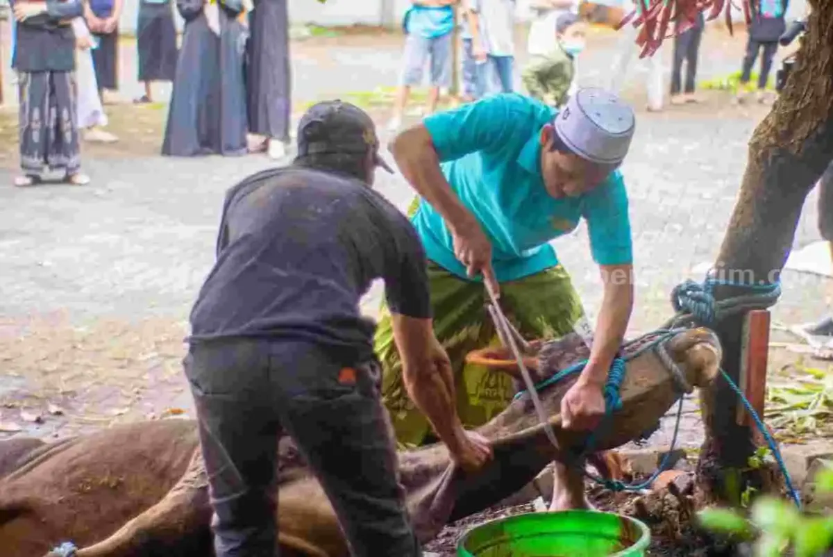 Foto pendukung: Dosen ASWAJA Ajukan Fikih Antistunting dengan Memanfaatkan Hewan Kurban untuk Mengatasi Gizi Buruk di Indonesia