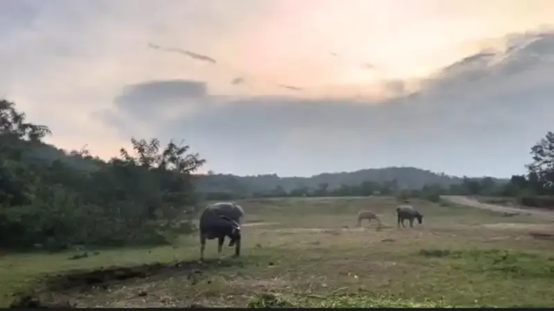 Foto pendukung: Menggali Potensi Pertanian Desa Batu Tanjung Mahasiswi dan Dosen Membuat : Langkah Awal Menuju Diversifikasi Ekonomi di Sawahlunto