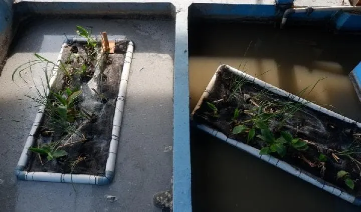 Foto pendukung: Dosen ITB Perkenalkan Solusi Pengolahan Limbah Industri Kulit di Garut dengan Lahan Basah Buatan