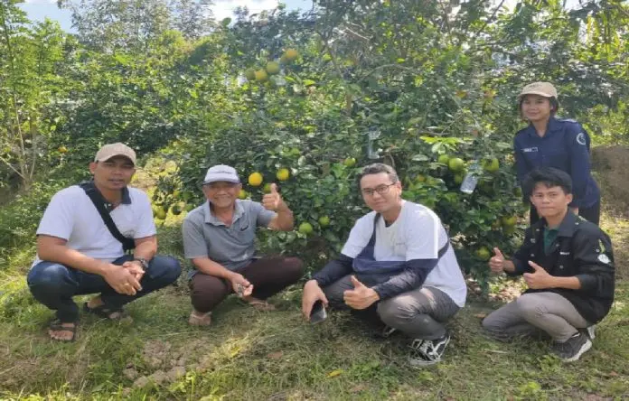 Sampul: Dosen Meneliti Potensi Desa Luwus di Tabanan, Bali, sebagai Desa Penyangga Pariwisata dan Pengembangan Usaha Budi Daya Pertanian Lokal