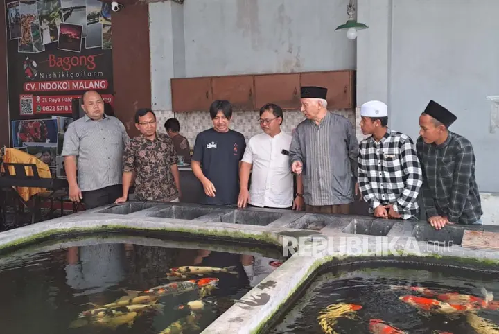 Sampul: Pakan Koi Terjangkau: Dosen UMM Ciptakan Inovasi dengan Bahan Lokal