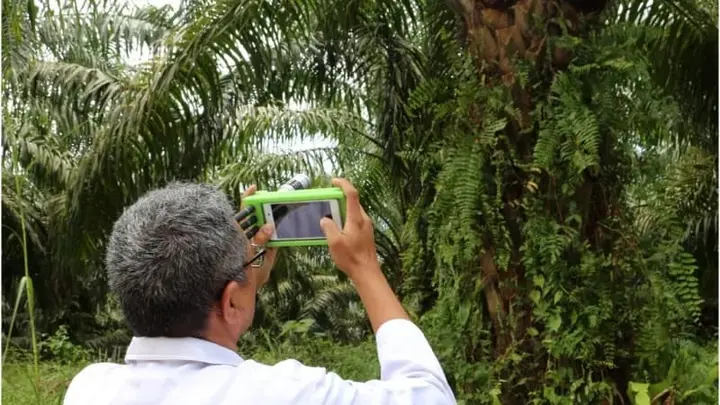 Sampul: Dosen Unand Ciptakan Sensor Sawit untuk Tingkatkan Produktivitas Panen
