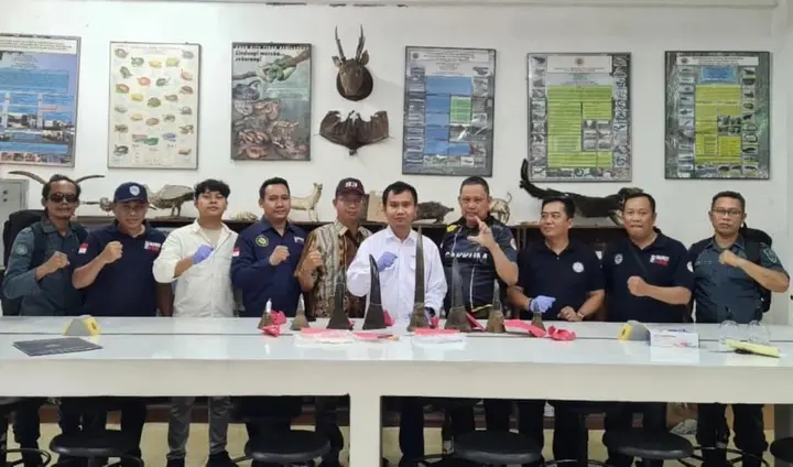 Sampul: Dosen UGM dan Mahasiswa Berperan Penting dalam Pengungkapan Kasus Perdagangan Cula Badak Senilai Rp245 Miliar