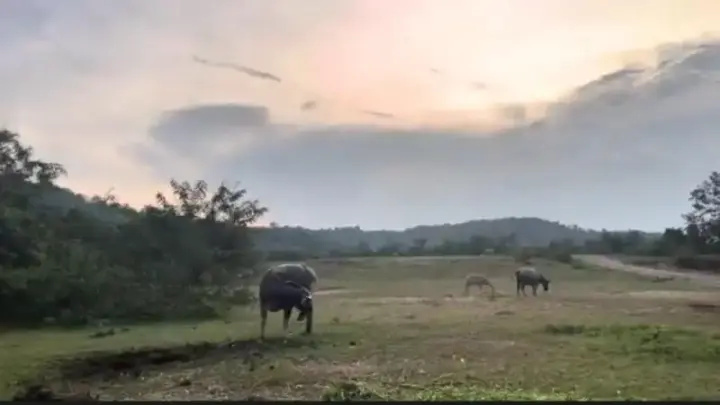 Sampul: Menggali Potensi Pertanian Desa Batu Tanjung Mahasiswi dan Dosen Membuat : Langkah Awal Menuju Diversifikasi Ekonomi di Sawahlunto